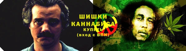 твердый Дмитровск