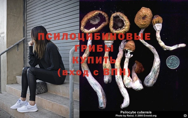 марки lsd Медногорск