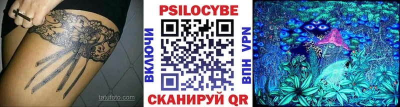 Галлюциногенные грибы Psilocybine cubensis  купить наркотики сайты  Ростов 